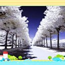 영명보육원 | 취임도 준비에 들어갔습니다~!!!