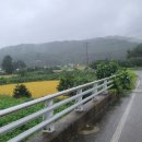 DMZ평화의길 32-1코스 2부 : 배롱나무 붉은 꽃은 방울방울 눈물 머금고 이미지