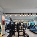 웰니스피티스튜디오 이미지