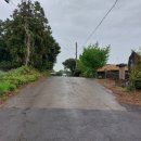 풍천초신풍분교장 이미지