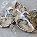 통영굴 조개구이 이미지