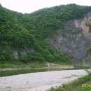 정희농박 Daum카페