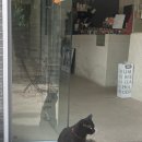 카페원더 - 논산시 황산벌로1098번길 81 | 카페원더