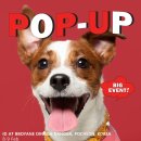 딩가댕가 이미지