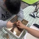 익산시장애인종합복지관
