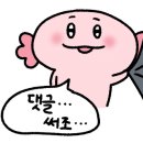 규봉카레 네이버블로그