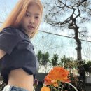 헤이제니 이미지