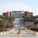 경주대박물관 대한뉴스