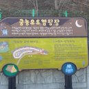 궁농오토캠핑장 이미지