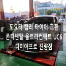 타이어프로진량점 이미지