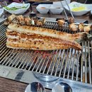 소양강민물장어 이미지