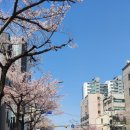 수퍼마켓플라워 이미지