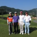 대영베이스컨트리클럽 이미지