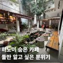 Cafe(카페)마시다 | 하노이에서 둘만 알고 싶은 카페｜책과 비단잉어, 분위기까지 완벽한 Tiny Cafe Signature 카페 후기