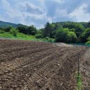 청안면사무소 이미지