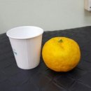 세신농장 이미지