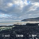 제주비치호텔더블유 | 제주 함덕해수욕장 가성비 숙소 | 아이미 제주비치호텔W 오션뷰 내돈내산 후기