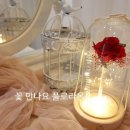플로라온 이미지
