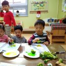 풀꽃무리어린이집 이미지