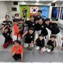 강철태권도 이미지