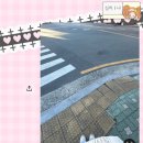 진아세탁소 | 새복X받자