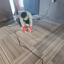 박리당구장 이미지