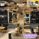 CATS&ME(캣츠 앤 미) 이미지