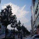 자스민여행사주
