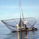 제주테우문화 이미지