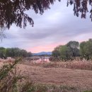 모스트품격공인중개사사무소 이미지