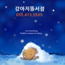 도도한전집