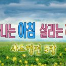 오포1동-5 이미지