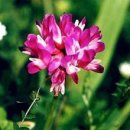 3월3일 - 화성시 영통로 74 | 3월3일