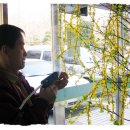 봄 요양병원 이미지