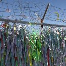 도라산식당 이미지