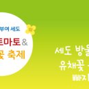 부여 행정사 사무소 이미지