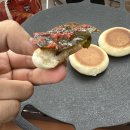 아리아리 숲속의 야영장 이미지