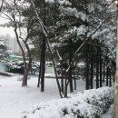 남행열차 노래연습장 이미지