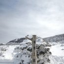 제주 한라산 등산(영실-윗세오름-남벽분기점-평궤대피소-윗세오름-어리목)_2 이미지