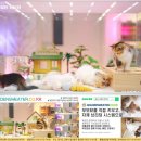 골든스웨터 캐터리 이미지