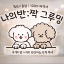 나의 반짝 그루밍 이미지