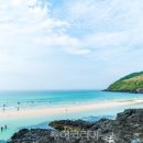 (주)라이브투어 이미지