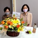 황금축사 티스토리