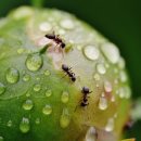 선미세탁소 이미지