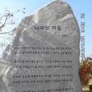 순천정원박람회,순천만 갈대 (초롱회,2013.11.4) 1 이미지