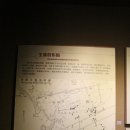 가육