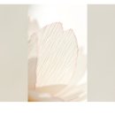 한지공예 | 한지공예 꽃 만들기 후기, 염색부터 인두 조립까지 직접 해보니