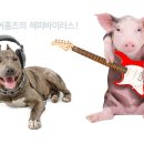 유어홈즈공인중개사사무소 이미지