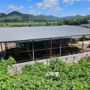 영양농협주유소 이미지