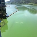 물금취수장 이미지